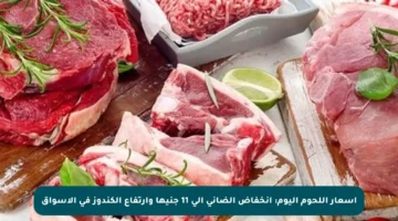 أسعار اللحوم اليوم: انخفاض الضاني إلى 11 جنيها وارتفاع الكندوز في الأسواق